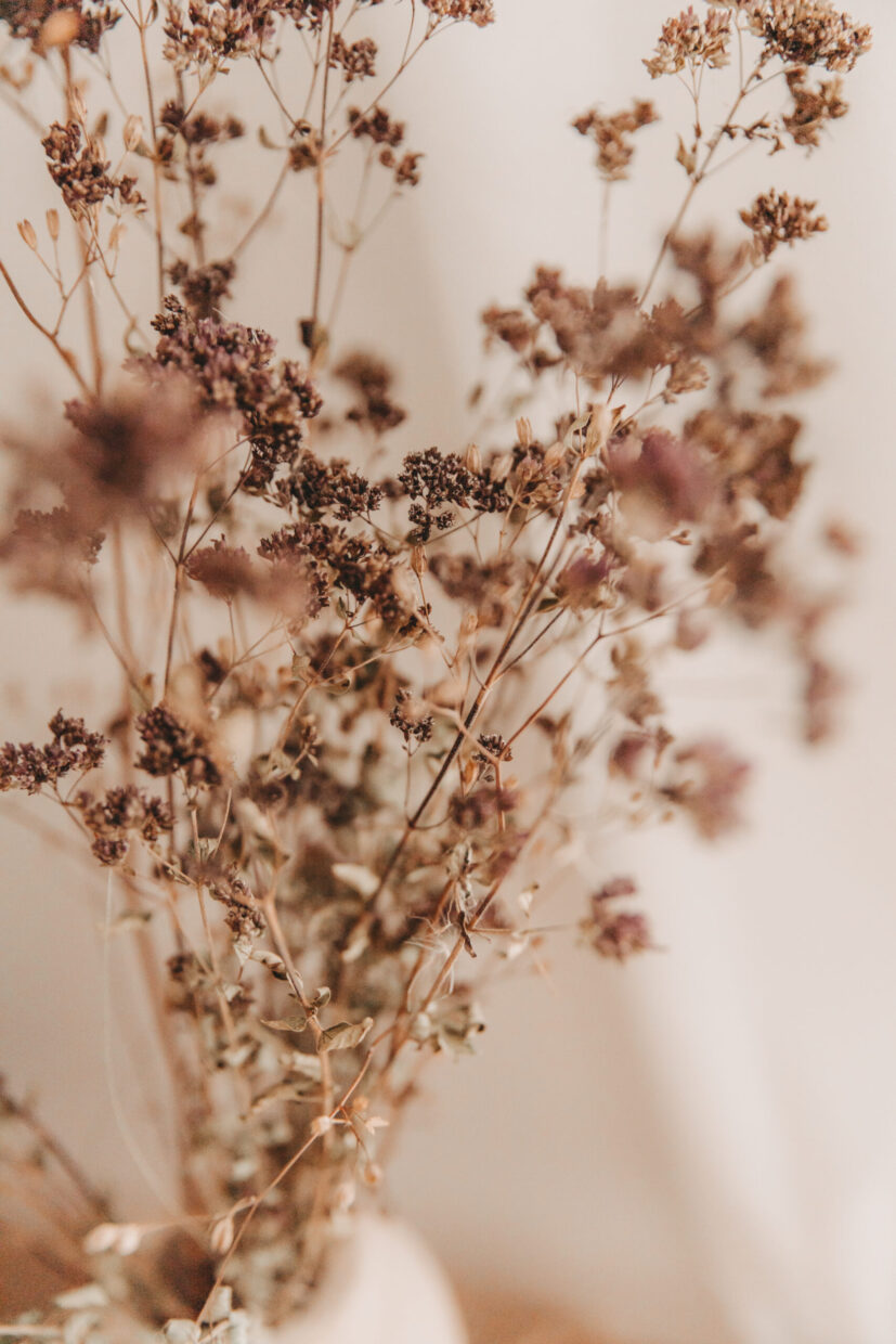 Babyfotos,Familienbilder, Fotograf